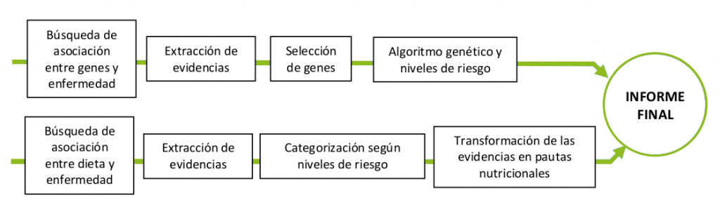 proceso nutrigenetica